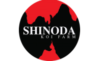 Shinoda