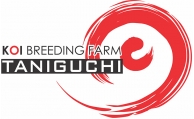 TANIGUCHI KOI FARM
